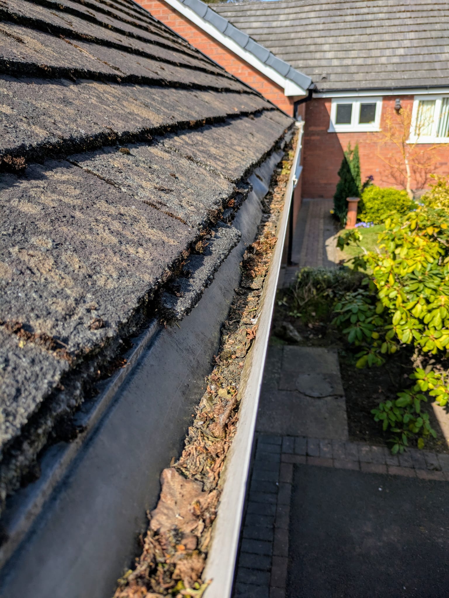 Mossy patio before cleaning